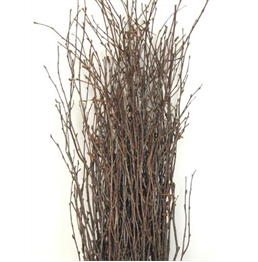Birch Branches Natural - 6" in Miami, Ft. Lauderdale, Palm Beach