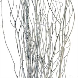Birch Branches White - 8' in Miami, Ft. Lauderdale, Palm Beach