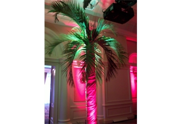 Palm Tree Faux 8ft in Miami, Ft. Lauderdale, Palm Beach