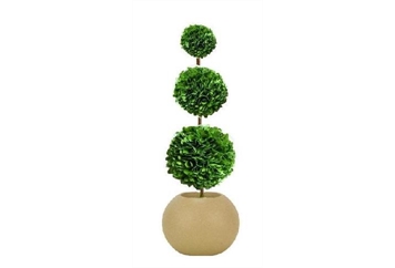 Topiary Tree 3 Ball M in Orlando