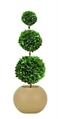 Topiary Tree 3 Ball U in Orlando