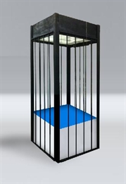 Dance Cage in Naples, Marco Island, Ft. Myers