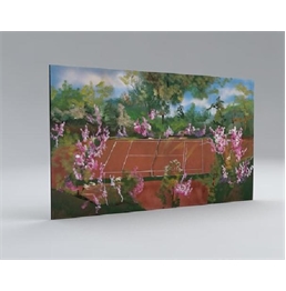 Tennis Court Backdrop in Naples, Marco Island, Ft. Myers