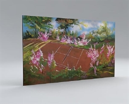Tennis Court Backdrop 2 in Naples, Marco Island, Ft. Myers